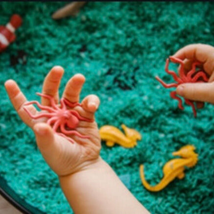 Sensory Play and Trays