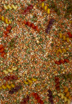 Autumn Colours Sensory Play Mix