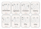 Literacy and Number Tracing Sets