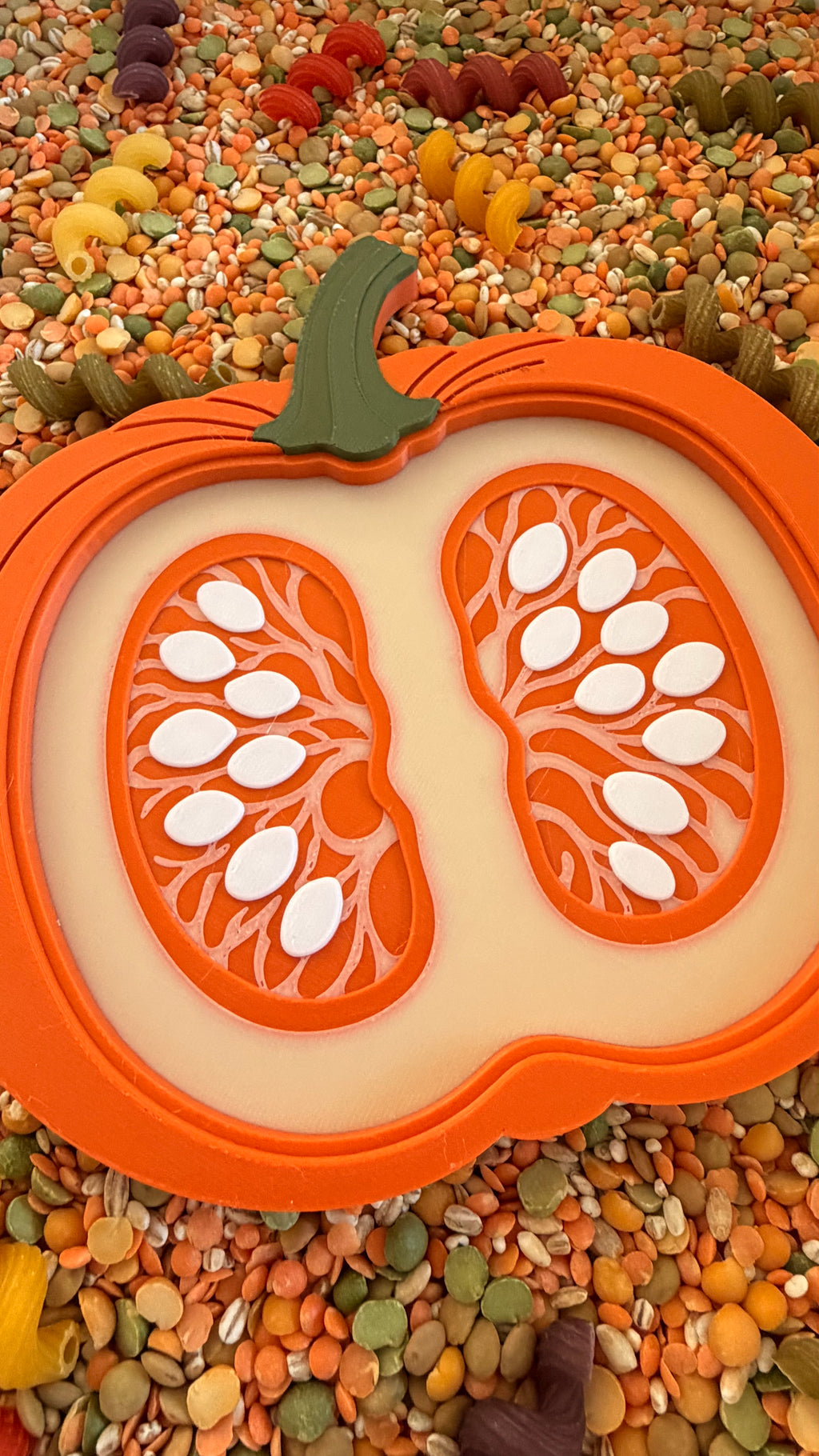 Pumpkin Cross Section Sensory Tray