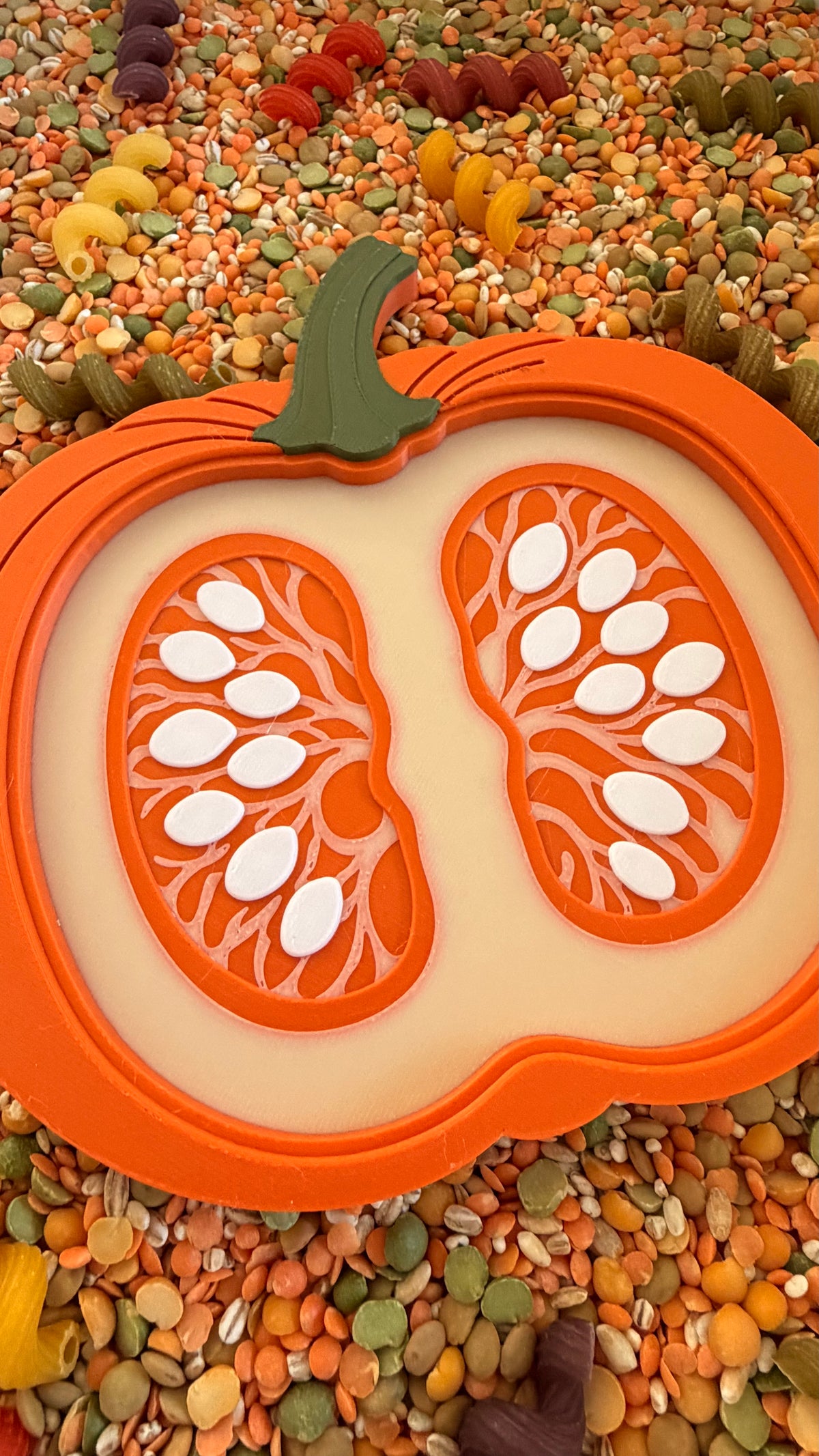Pumpkin Cross Section Sensory Tray