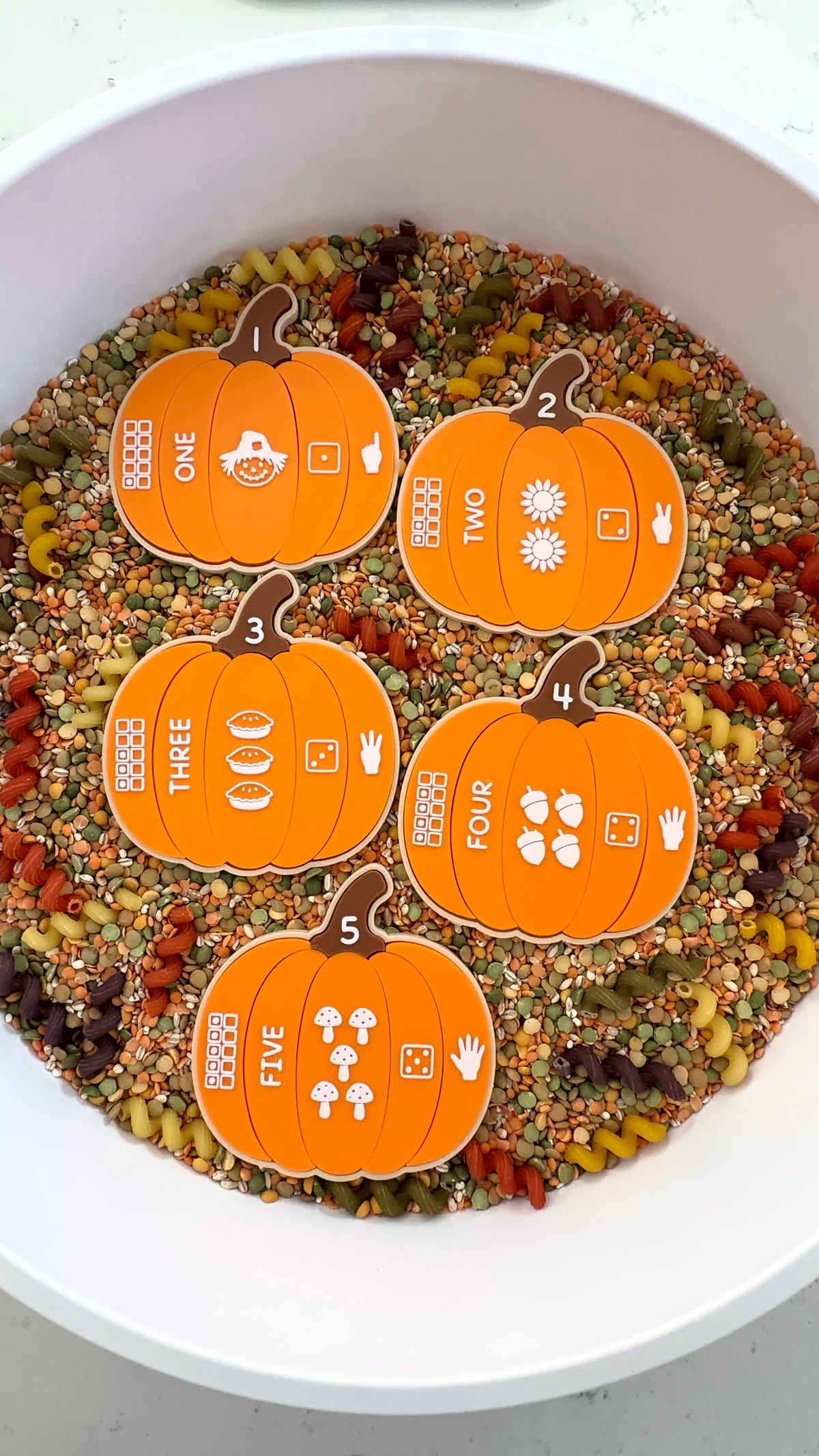 Pumpkin Number Sense Set
