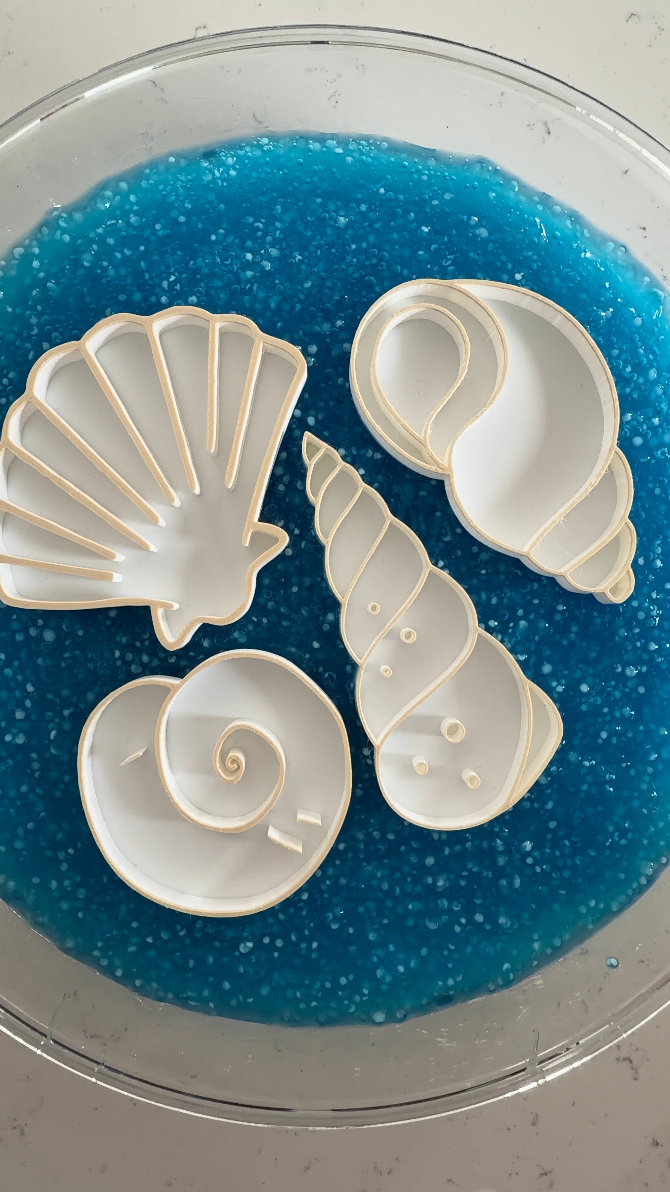 Shell Sensory Play Trays (4pcs)