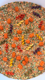 Autumn Colours Sensory Play Mix