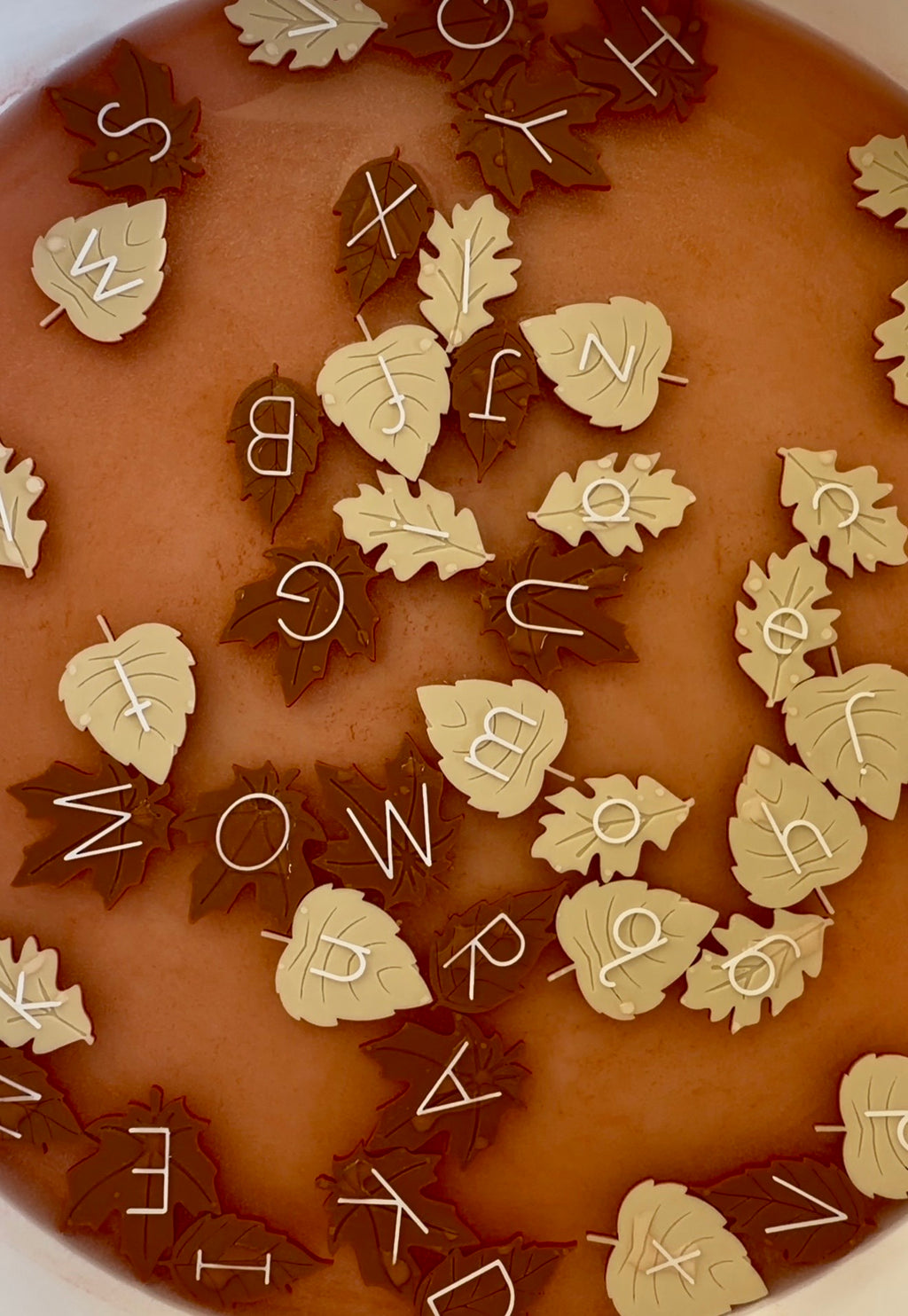 Autumn Leaves Alphabet Set | Uppercase & Lowercase