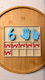 Ten Frame Learning Set