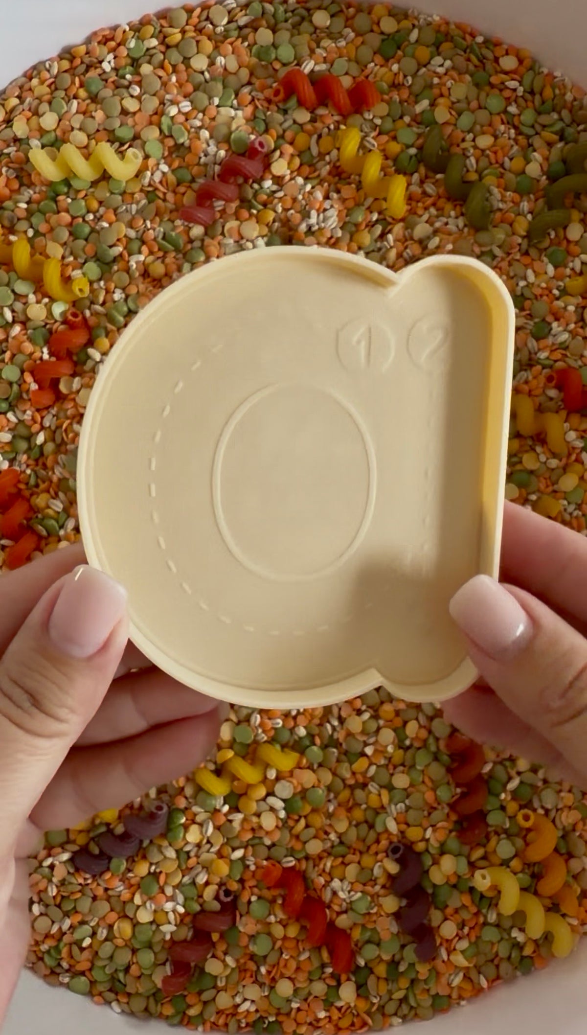 Trace and Fill Alphabet Trays