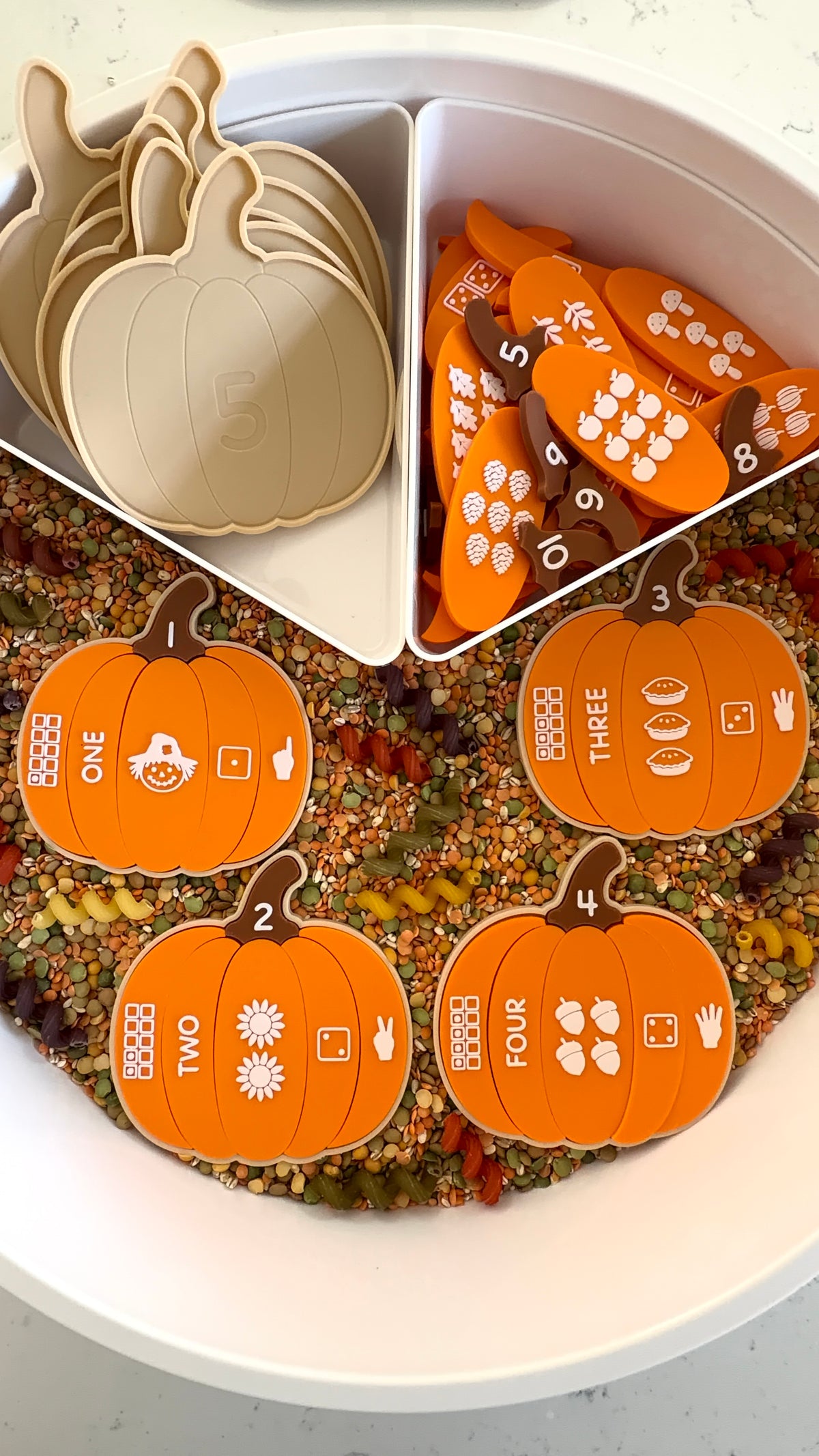 Pumpkin Number Sense Set