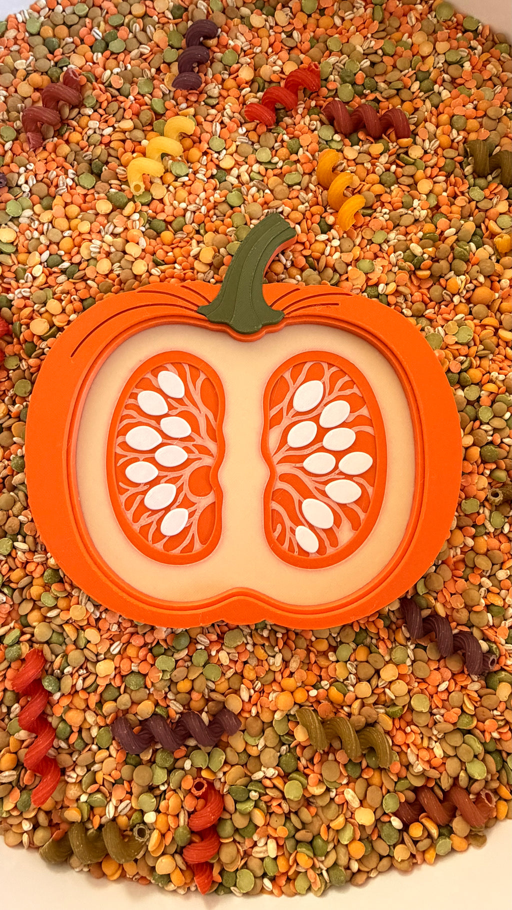 Pumpkin Cross Section Sensory Tray