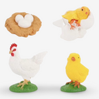 Life Cycle Growth Sets