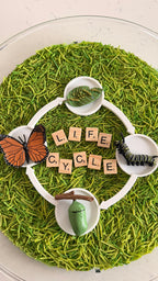 Lifecycle Tray