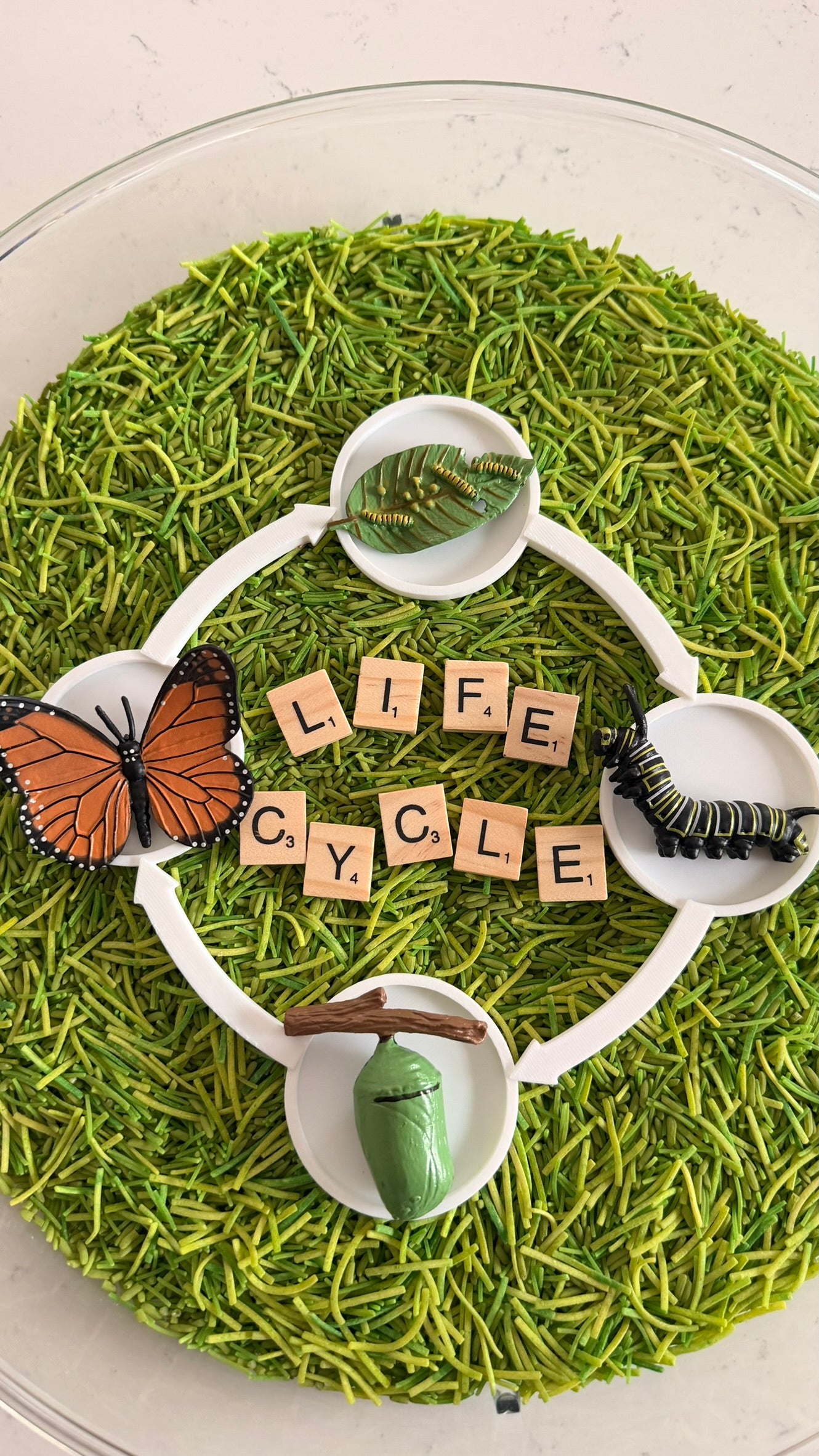 Lifecycle Tray