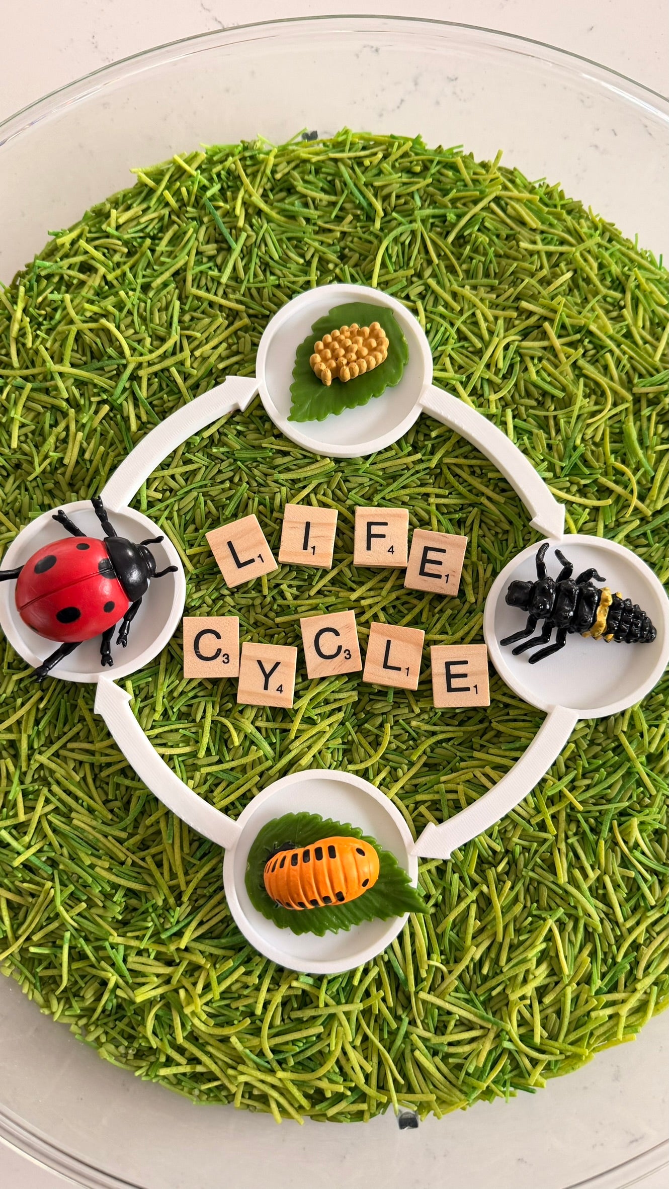 Lifecycle Tray