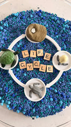 Lifecycle Tray