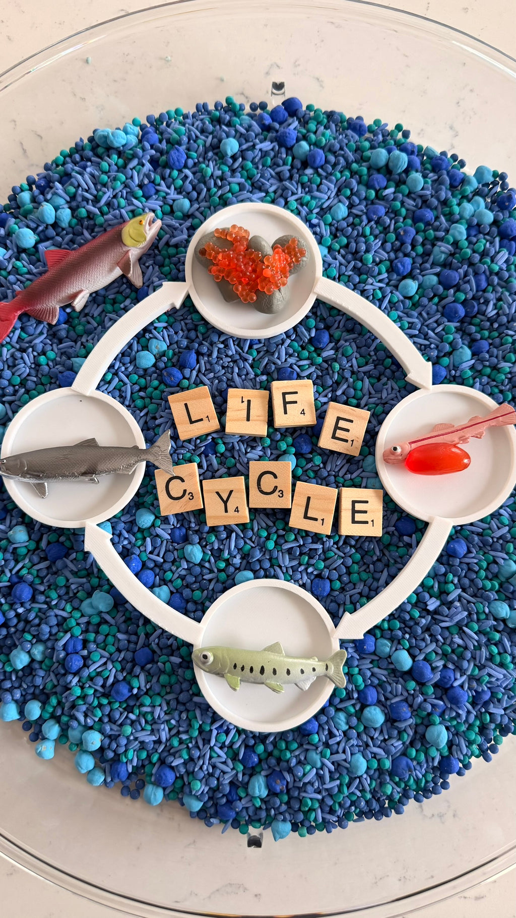 Life Cycle Growth Sets
