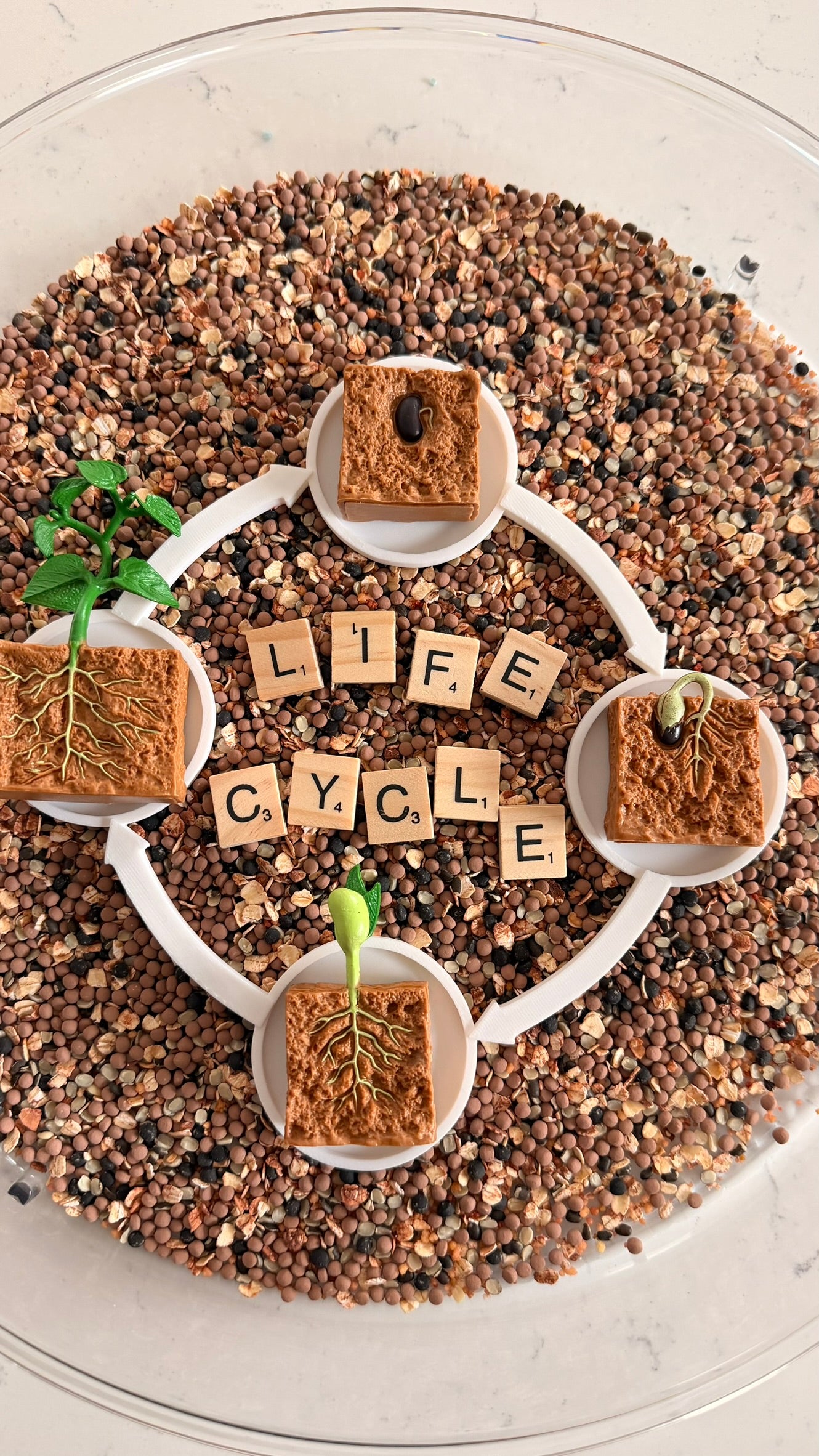 Lifecycle Tray