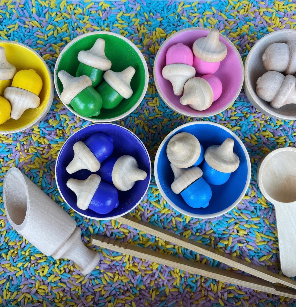 Acorn Colour Sorting Deluxe Sensory Bin
