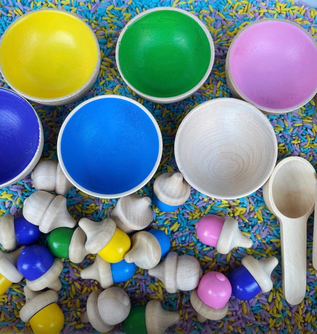 Acorn Colour Sorting Deluxe Sensory Bin